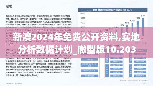 2025新澳资料免费精准17码|储备释义解释落实