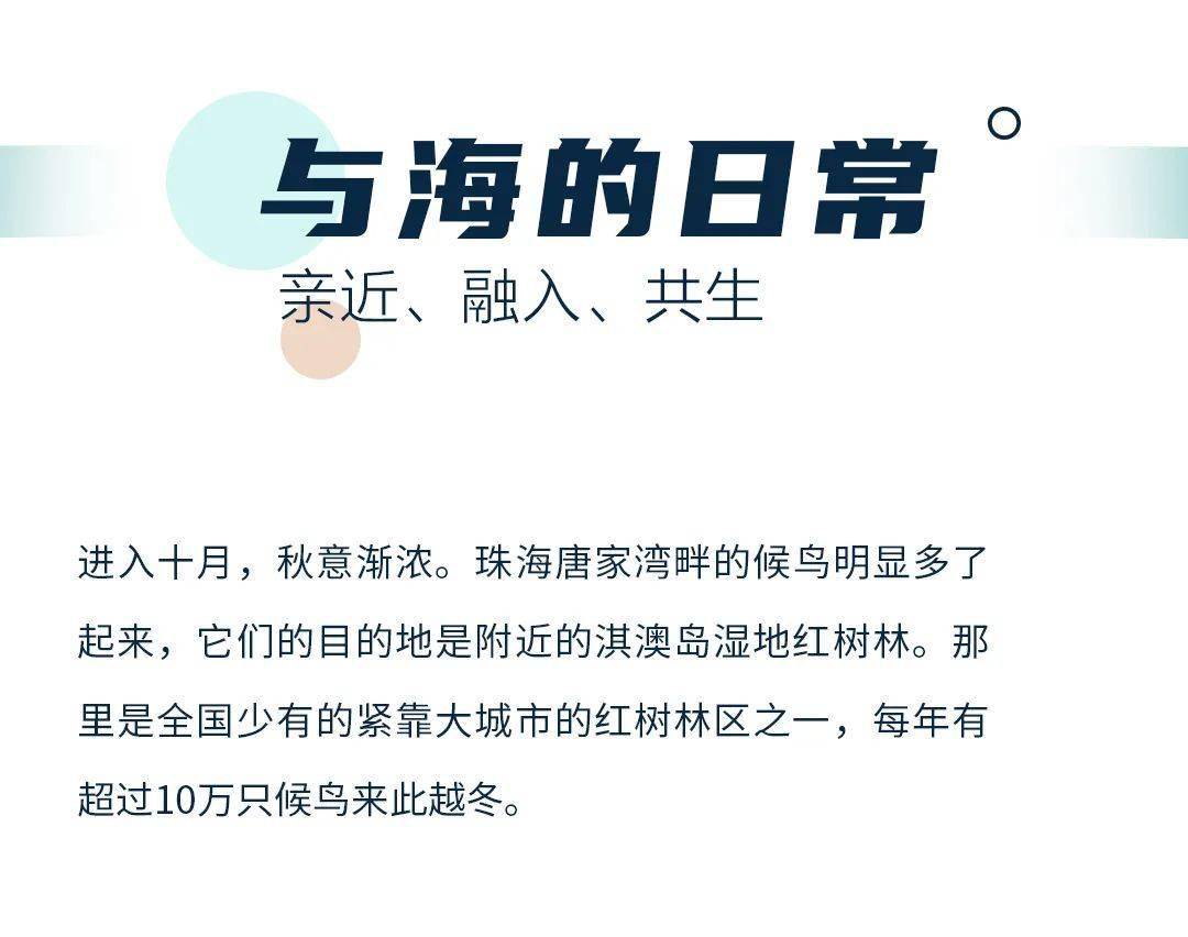 2025新澳最精准资料大全|破冰释义解释落实