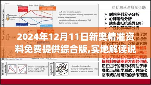 新澳2025年精准资料33期|闪电释义解释落实