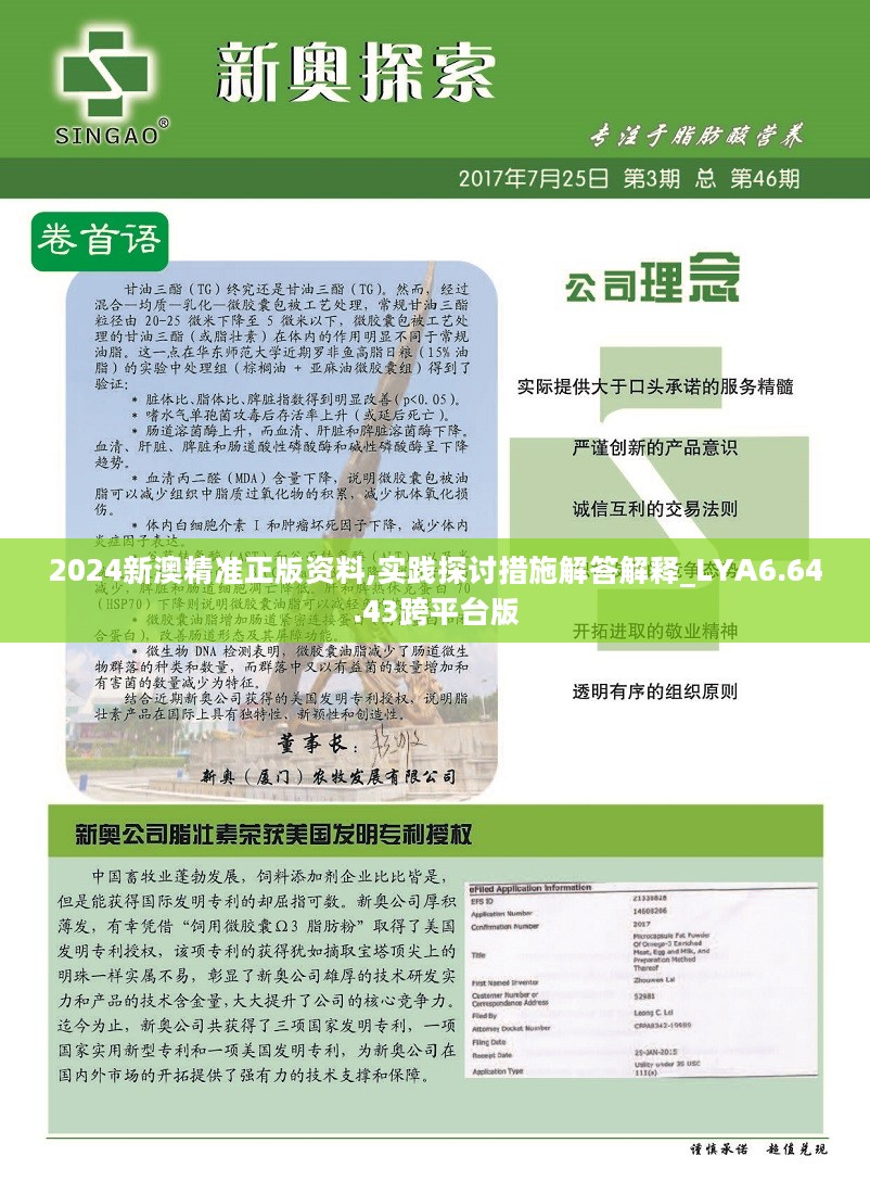 新澳2025年精准资料220期|工具释义解释落实