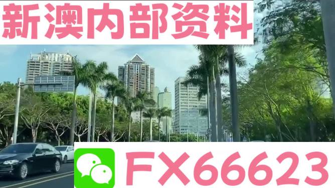 新澳精准资料免费提供221期|的意释义解释落实