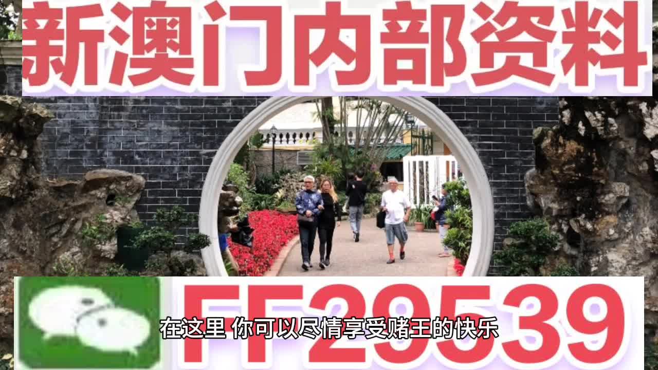 2025年澳门特马今晚号码|了得释义解释落实