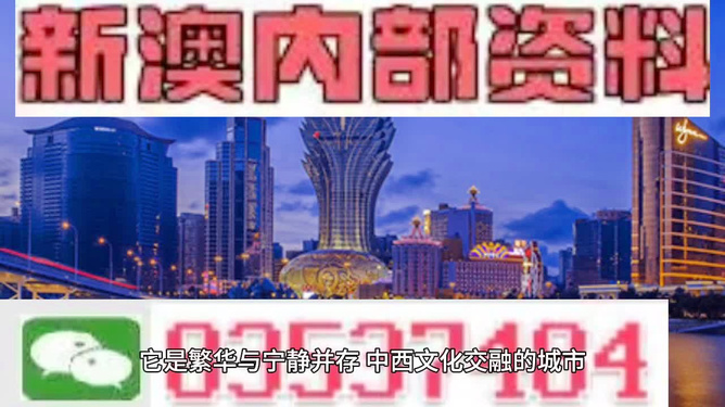 新奥门免费全年资料查询|组合释义解释落实