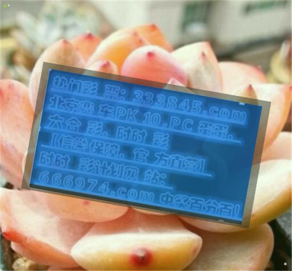 管家婆一码一肖100中奖|治理释义解释落实
