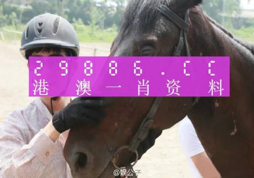 咨询 第368页