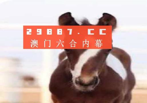澳门精准一肖一码100%|协作释义解释落实